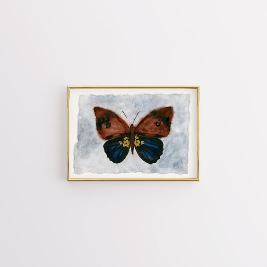 Floral Moth - Fine Art Print