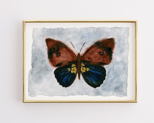 Floral Moth - Fine Art Print